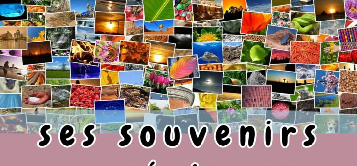 Organiser et sauvegarder ses souvenirs numériques